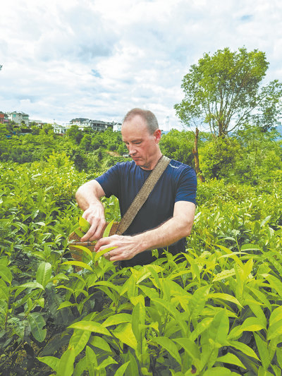 Steeped in meaning: China's tea culture