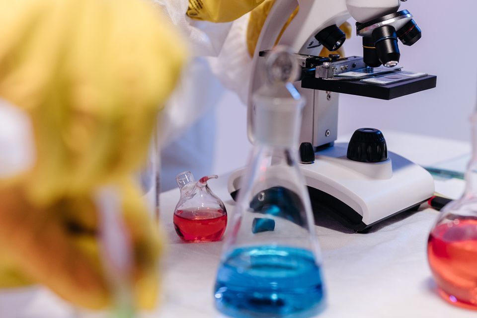 Why a Negative Result Can Still Move Research Forward